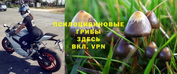 дмт Абдулино