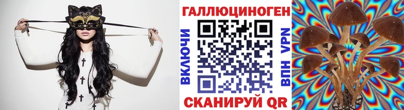 ОМГ ОМГ зеркало  Шарья  Псилоцибиновые грибы MAGIC MUSHROOMS 